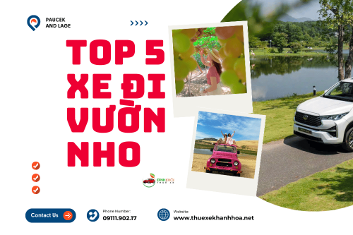 Top 5 xe đi vườn nho 