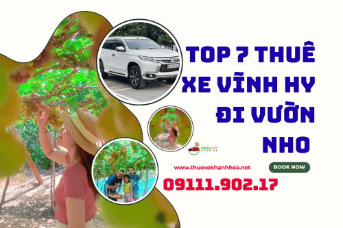 Top 7 thuê xe vĩnh hy đi vườn nho