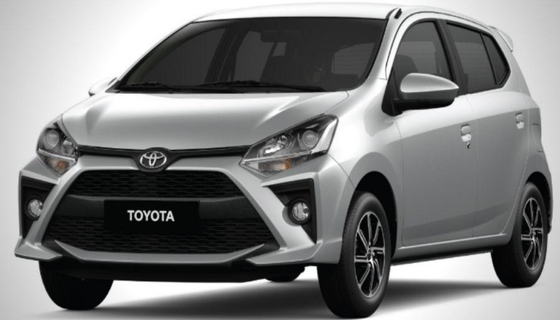 Thuê xe cùng thú cưng