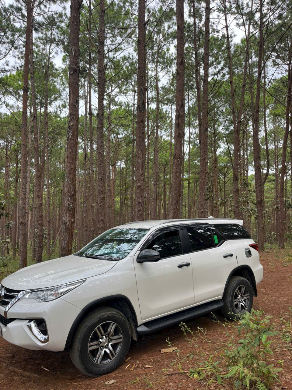 Thuê xe Phan Rang đi Hải Phòng