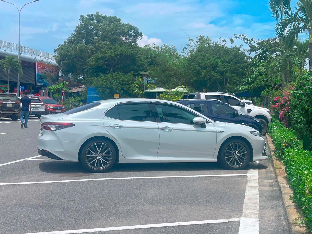 thuê xe tháng đưa đón chuyên gia