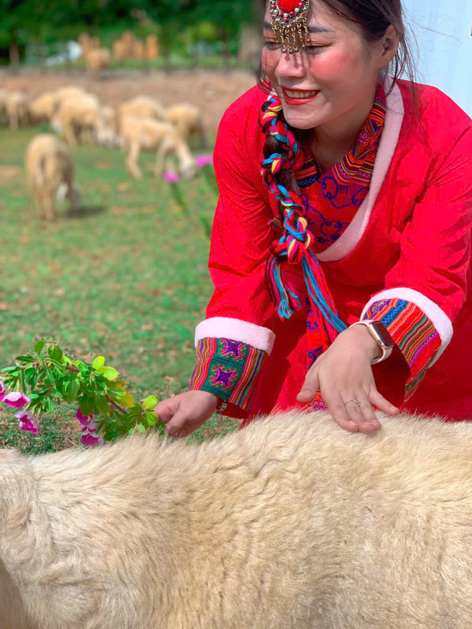 Top 5 nhà xe quốc lộ đi bình hưng