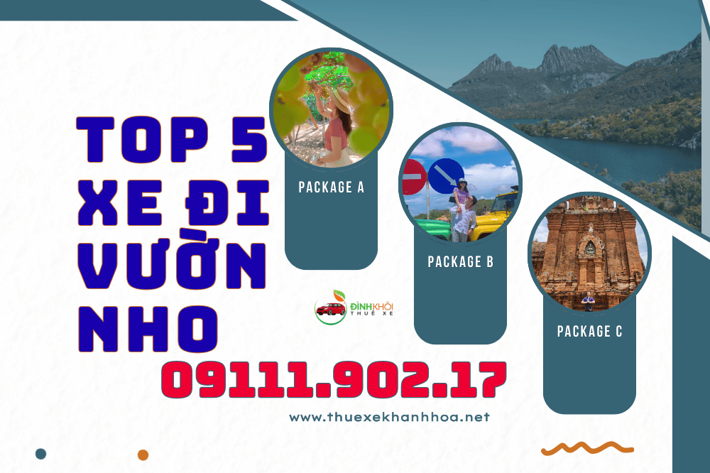 Top 5 xe đi vườn nho 