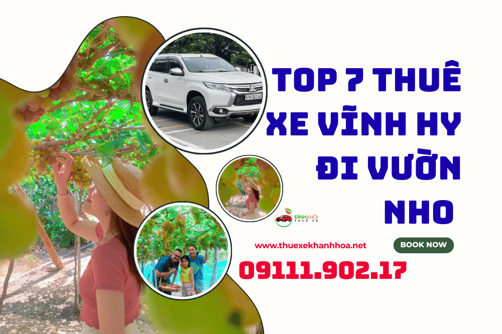 Top 7 thuê xe vĩnh hy đi vườn nho