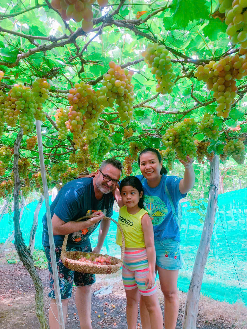 Top 7 thuê xe vĩnh hy đi vườn nho