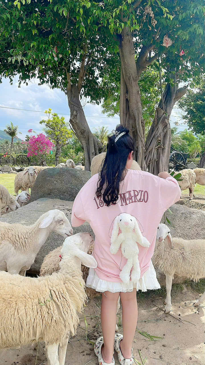 Thuê xe riêng phan rang