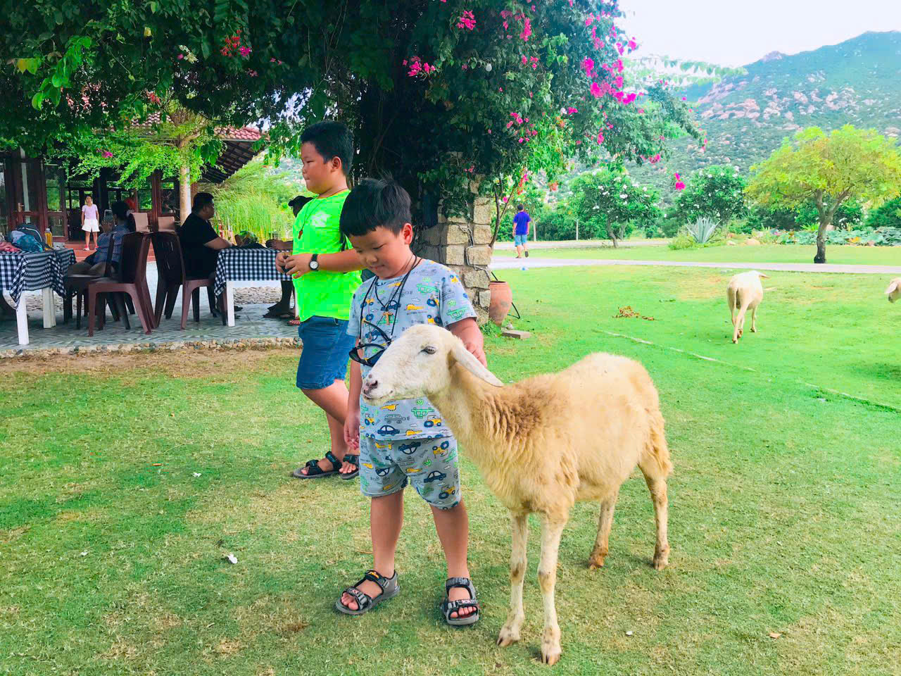 Thuê xe riêng phan rang