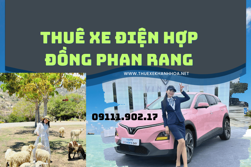 Thuê xe điện hợp đồng phan rang