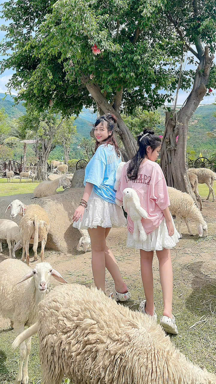 Thuê xe du lịch phan rang đi bình tiên