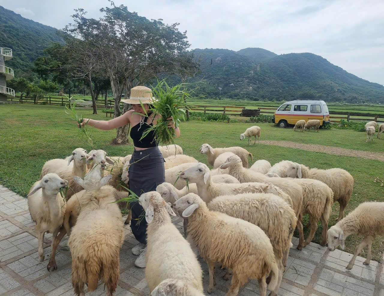 Xe Riêng Sân Bay Nha Trang Đi Vĩnh Hy An Toàn