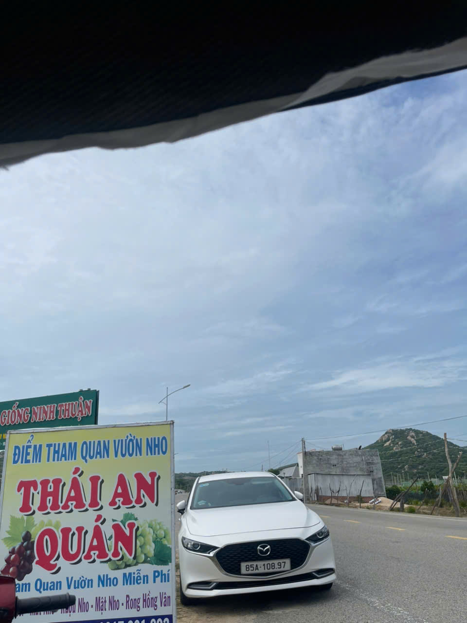 Thuê xe đi vườn nho Thái An