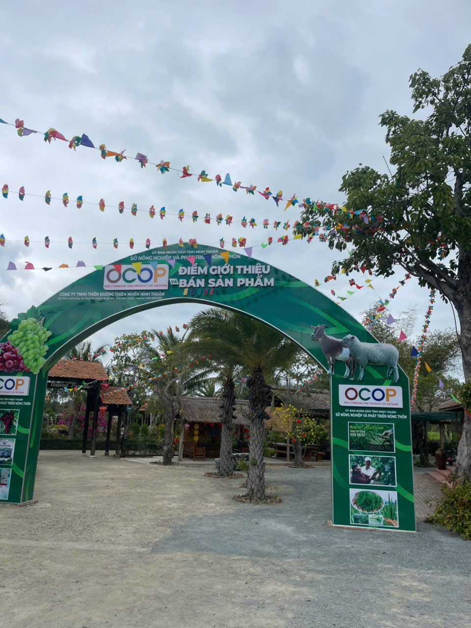 THUÊ XE HỢP ĐỒNG PHAN RANG