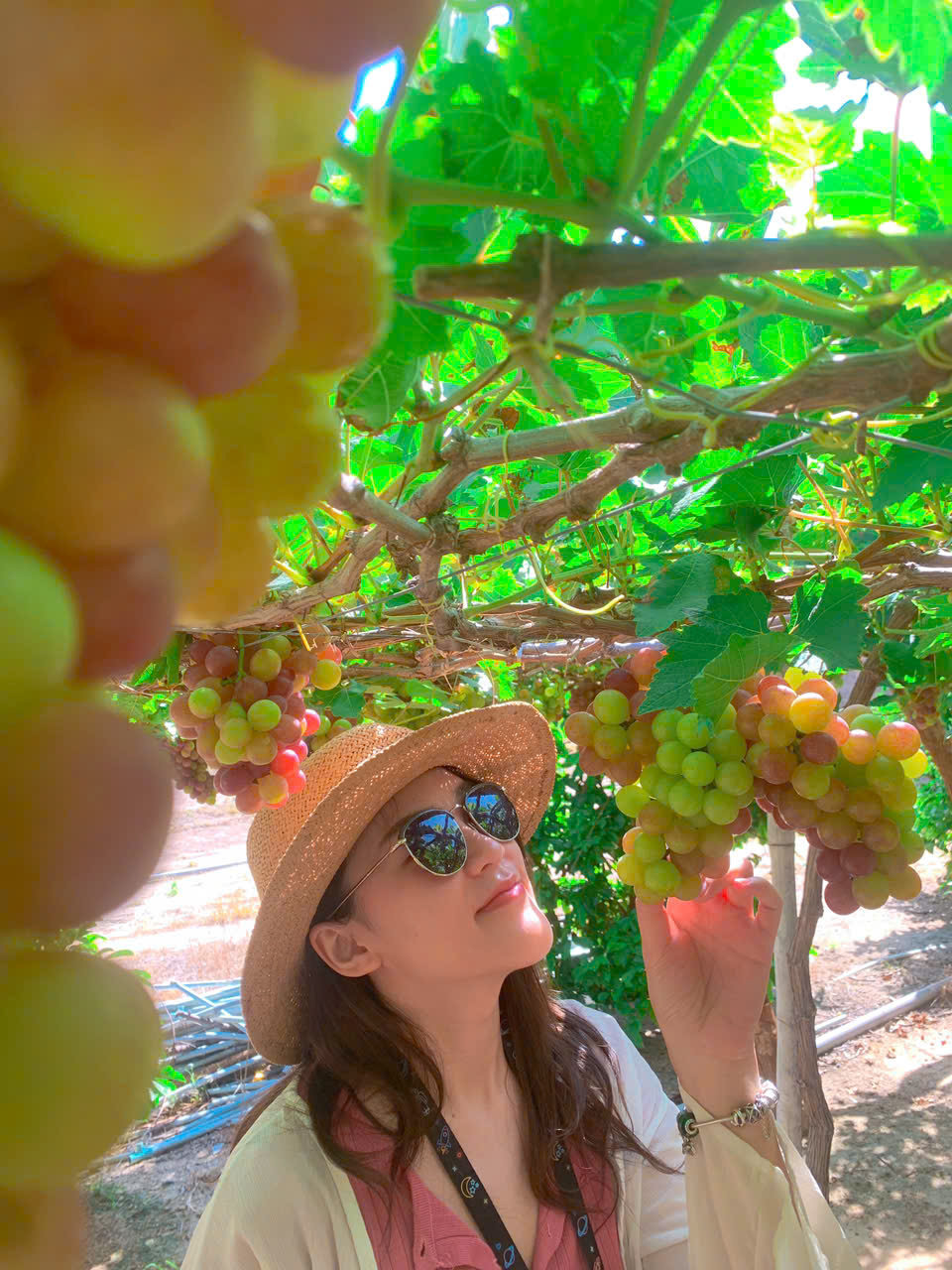 Thuê Xe Tour Du Lịch Ninh Thuận