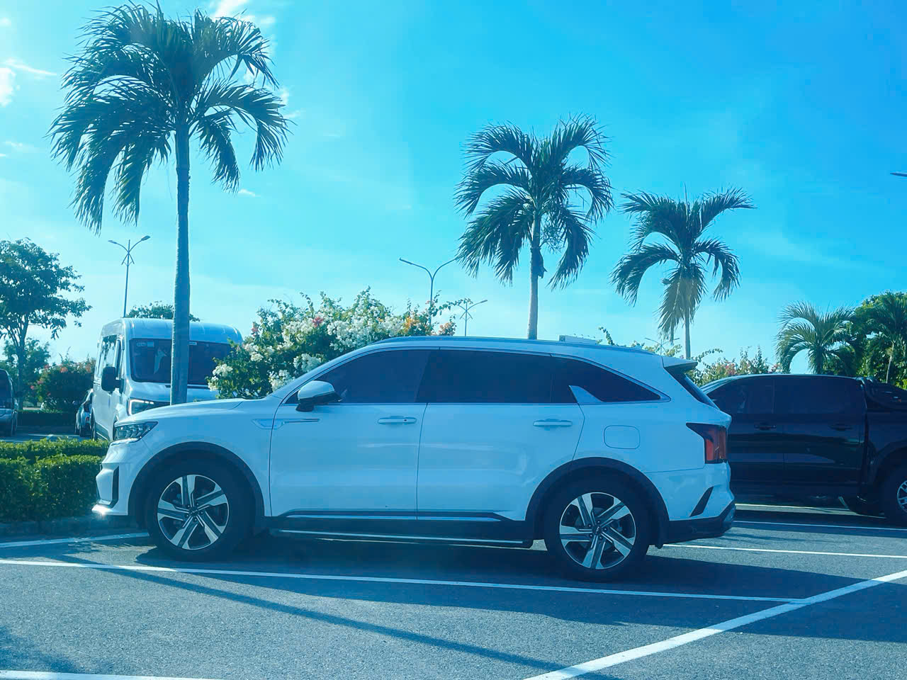 Thuê Xe Sân Bay Cam Ranh Đi Vĩnh Hy Giá Rẻ