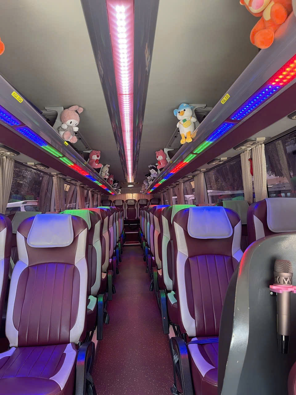 Thuê Xe Cưới Hỏi 29 Chỗ Ninh Thuận