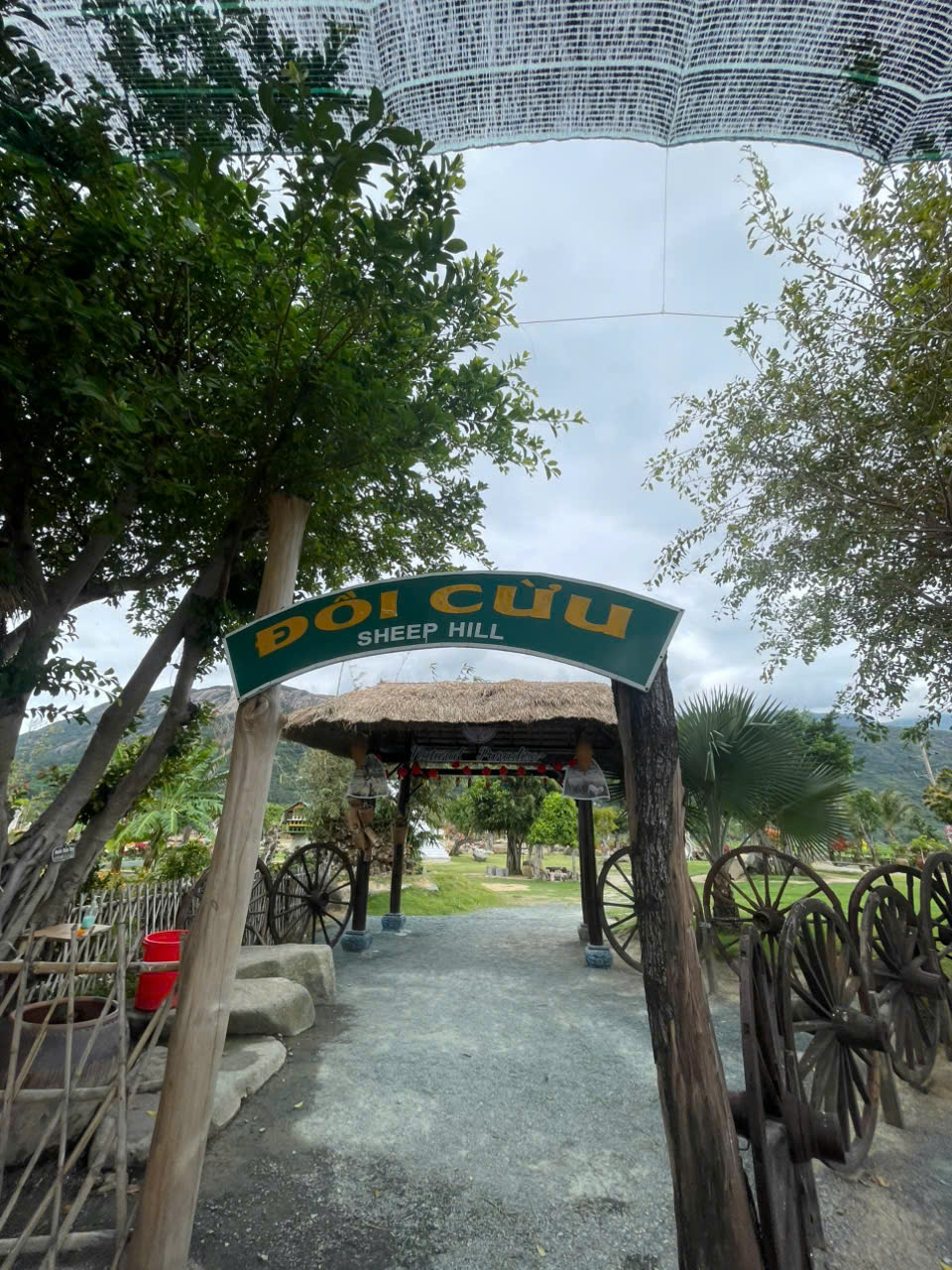 Thuê Xe Riêng Từ Sân Bay Cam Ranh Đi Ninh Thuận