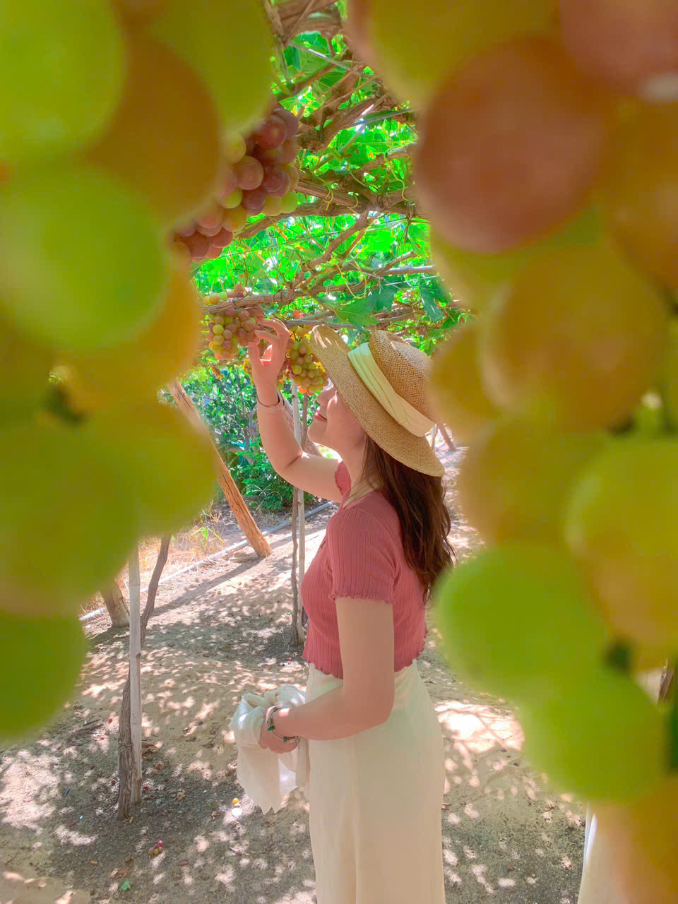 Thuê Xe Giá Tốt Nha Trang Đi Sài Gòn