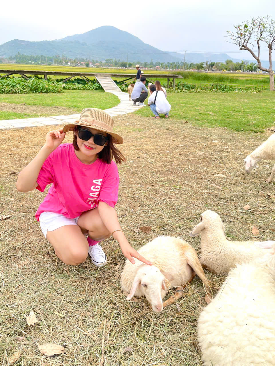 Thuê xe Nha Trang đi quận 5