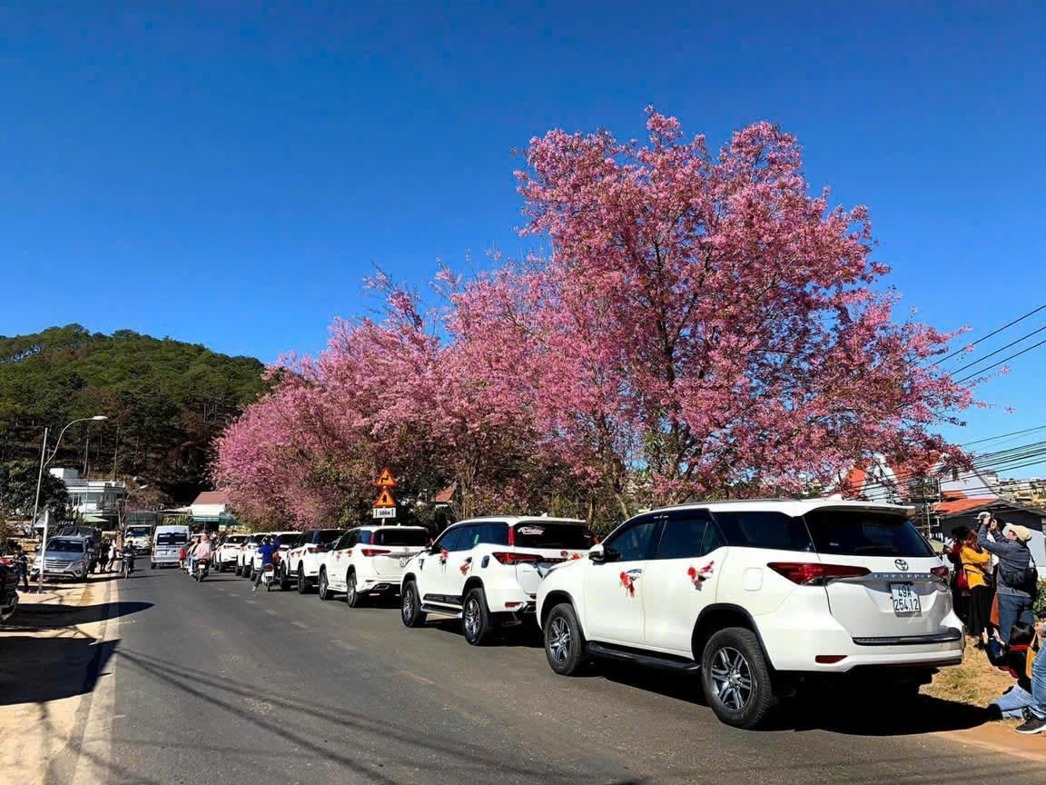 Thuê Xe Hoa Toyota Phan Rang