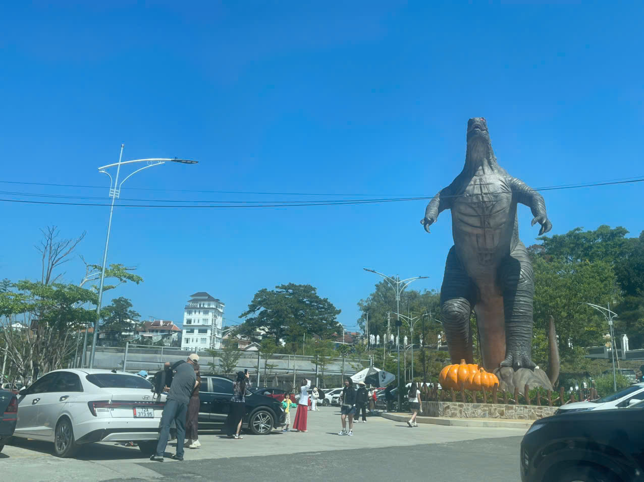 Thuê xe hợp đồng Lâm Đồng