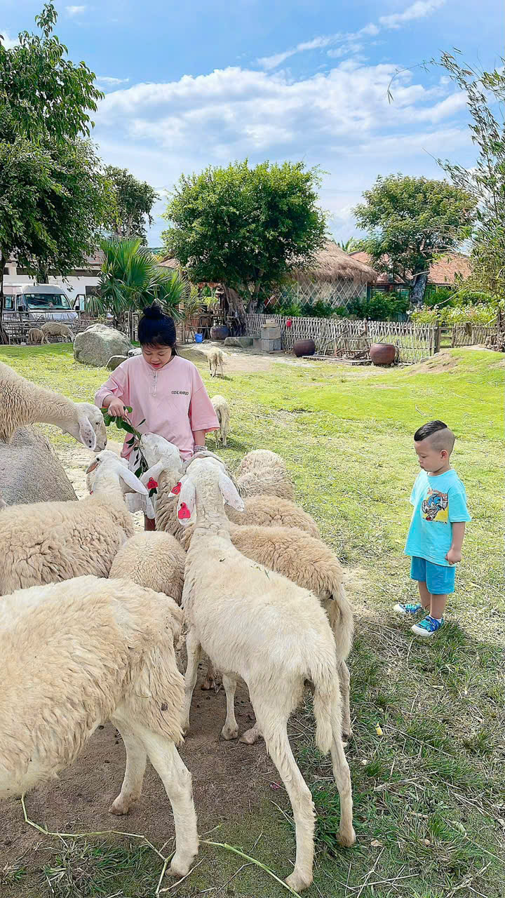 Thuê Xe Cam Ranh Đi Ninh Thuận