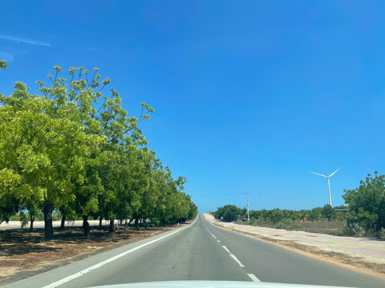 Thuê Xe Sân Bay Cam Ranh Đi Ninh Thuận Giá Tốt