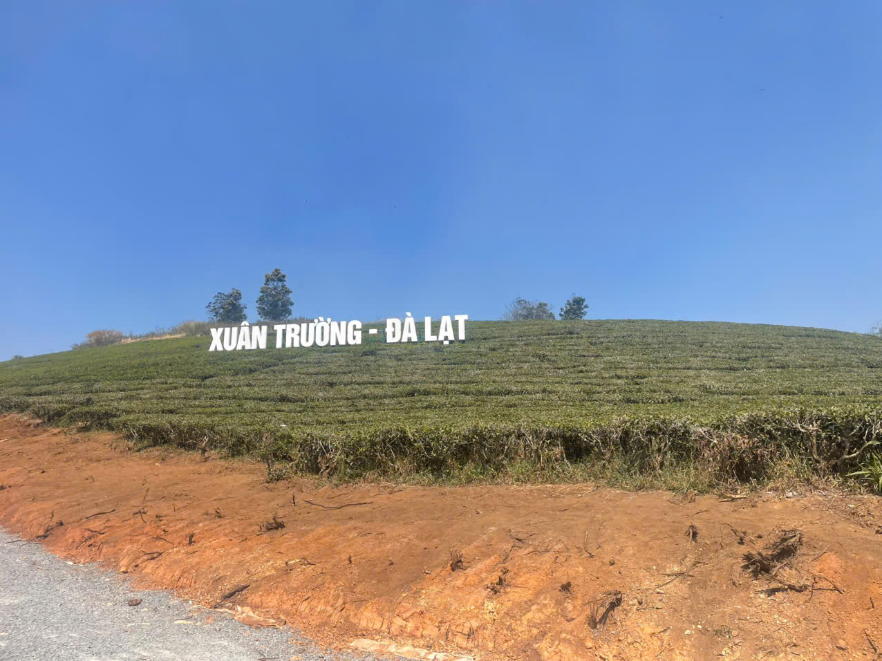 Thuê xe chạy đêm Nha Trang Đà Lạt